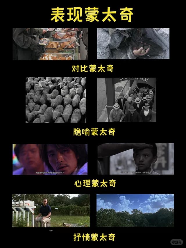 白夜下《表现蒙太奇》小红书笔记封面